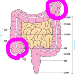 o0480048013810568022