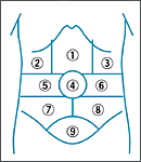 お腹が痛い!!どうすればいい?病院に行く?行かない?【腸の病気の種類と原因の見分け方】 3 o0130015013982880905