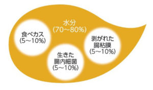 ナースキュア学会発表に向けて臨床試験を開始します!【腸内細菌と健康との関わり】マイキンソーPro 2 o0450026513996245839