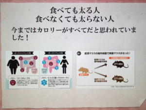 o0480036014029220505