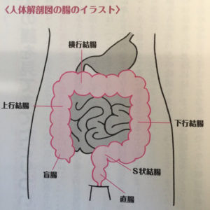 o0480048014017895490