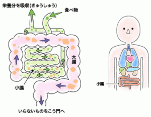 o0400031014047446766
