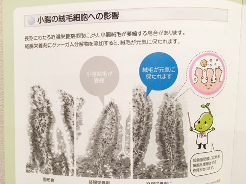 o0480036014047473481