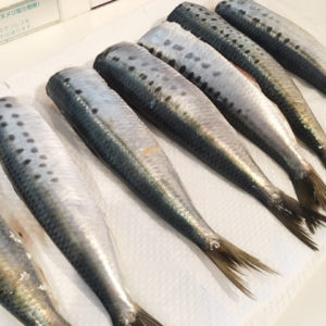 o0480048014049389397