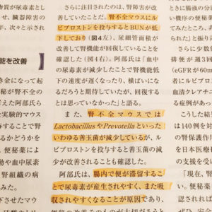 o0480048014054252352