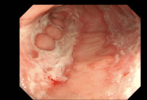 o0575039314047502258