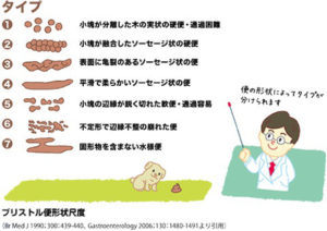 過敏性腸症候群とストレスの関係「下痢が怖くて出かけられません」対面カウンセリング 3 o0480033914101849478