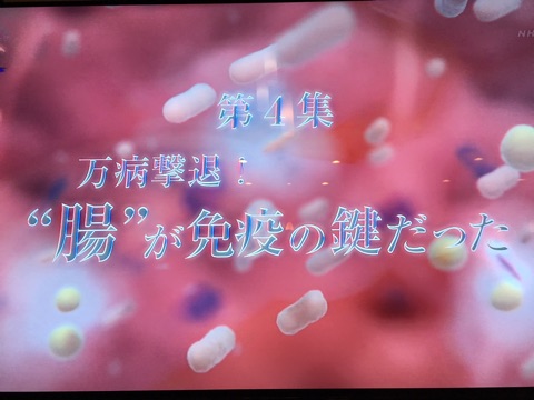 o0480036014112518910