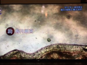 o0480036014112518912