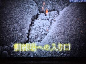 o0480036014112553054