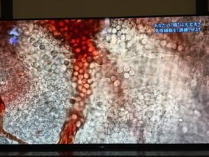 o0480036014112553058