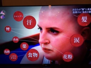 o0480036014112568801