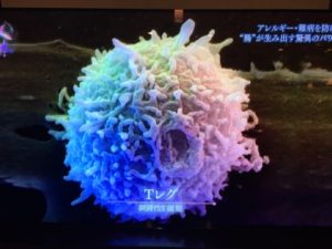 o0480036014112588636