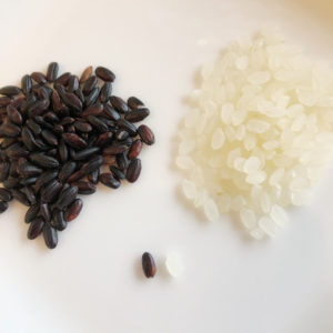 o0480048014151963075