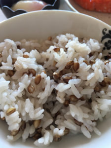 o0480064014152091079