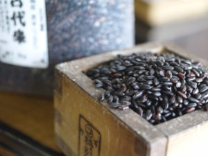 o1024076814152080371