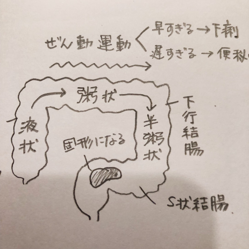 「心」から「腸」を治すが勝ち!自立神経と腸の動きの関係。あなたは慢性腸ストレス症候群かも! 1 o1080108014160716862