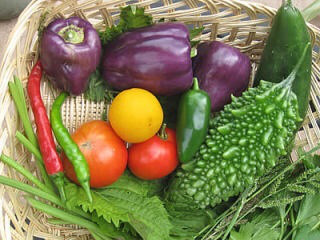 o0320024013414826090