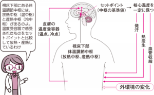 o0900055714248895021