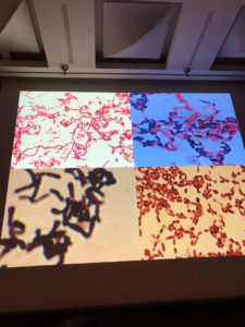 o0810108014465795847