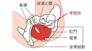 o0301016714543204527