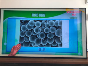 o1080081014480178166