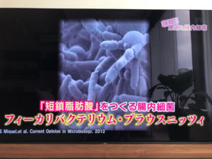 o1080081014480178191