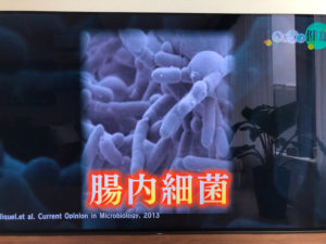 o1080081014480178216