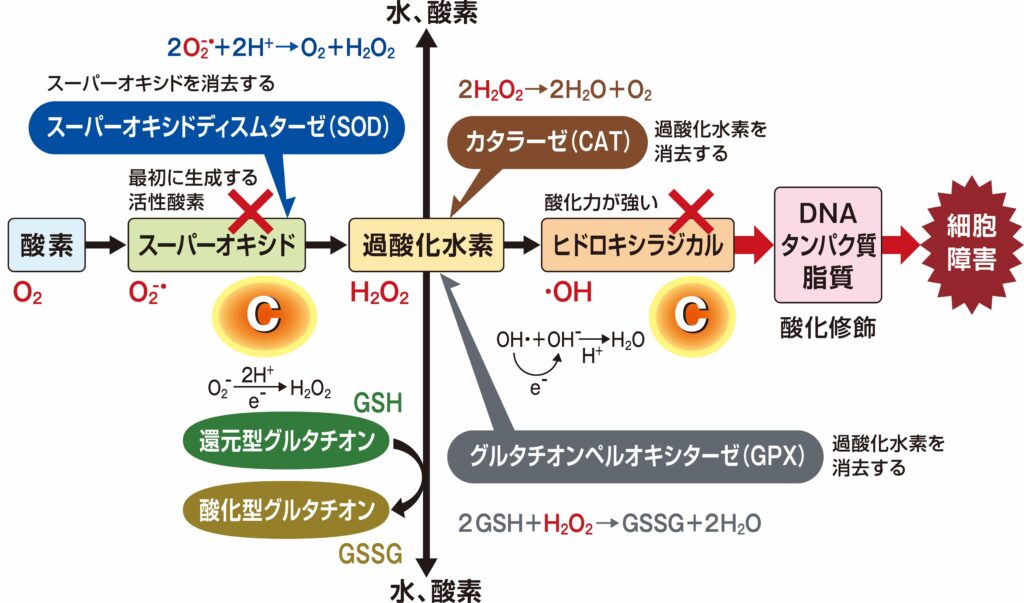 406211f928459b6e6b53a4b120875155