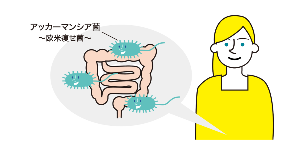 【腸活ダイエット】痩せ体質は作れる!やせ菌を育てる「ダイバーシティーな腸内環境」 35 vol32 02