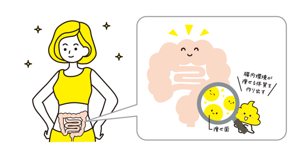 【腸活ダイエット】痩せ体質は作れる!やせ菌を育てる「ダイバーシティーな腸内環境」 1 vol32 main